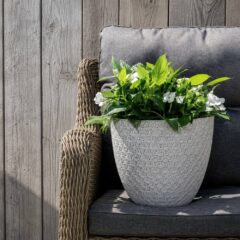 IMAGE 2026-06-19 16:23:01