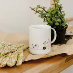 mugs
