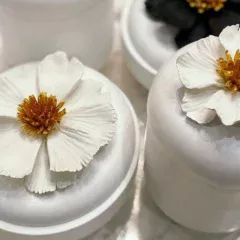 shkatulky