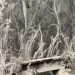 w1920h1000-1213.jpeg