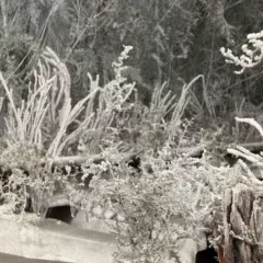 w1920h1000-1215.jpeg