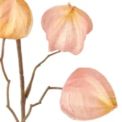 w=1920,h=1000