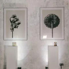 w1920h1000-744.jpeg