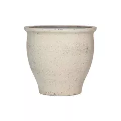 w=auto,h=auto