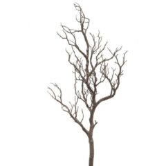 420209